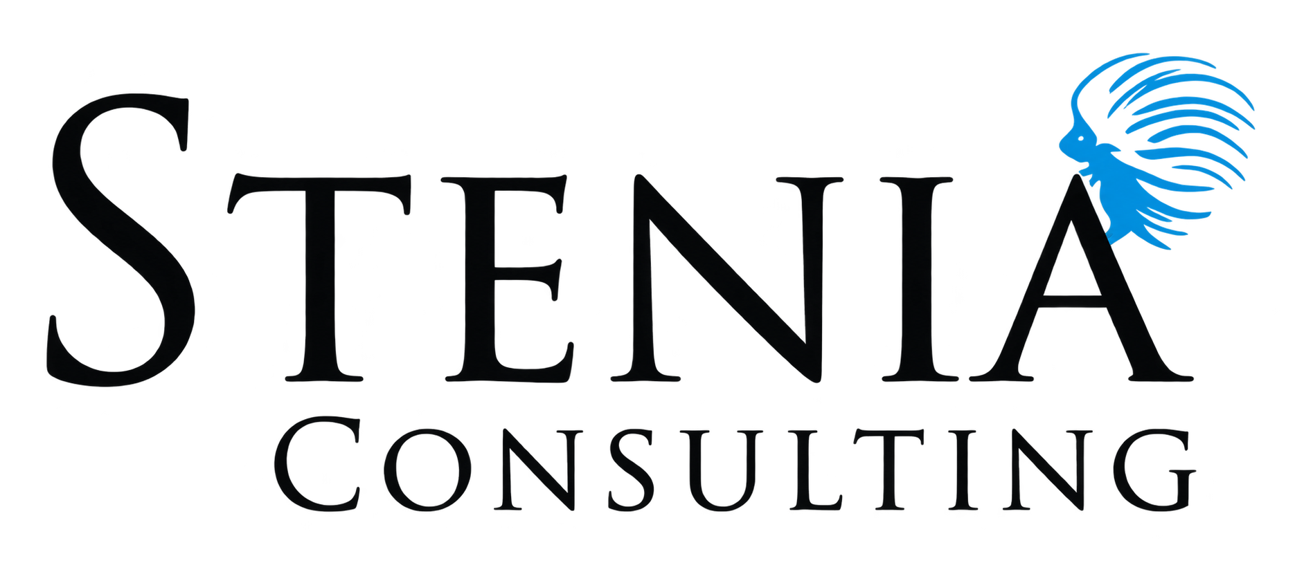 Stenia Consulting